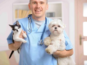 vet_with_dog_and_cat-6360x4245